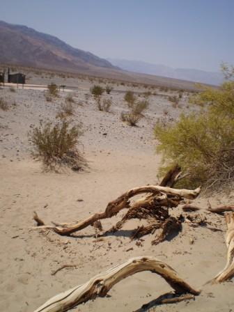 Día 8: Del calor del Death Valley a los lagos de Mammoth Lakes. 1ª parte: DV - Ruta Costa Oeste EEUU 2013 (¡¡terminado!!) (8)