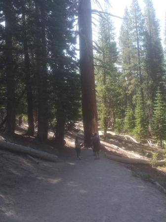 Día 9: Explorando Mammoth Lakes, parada en Mono Lake y Yosemite por Tioga Pass - Ruta Costa Oeste EEUU 2013 (¡¡terminado!!) (2)