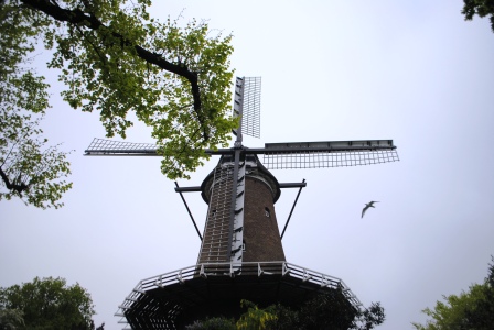 Día 2: Waterland (Edam, Volendam, Marken) y Alkmaar - Ruta por Holanda sorteando bicicletas (22)